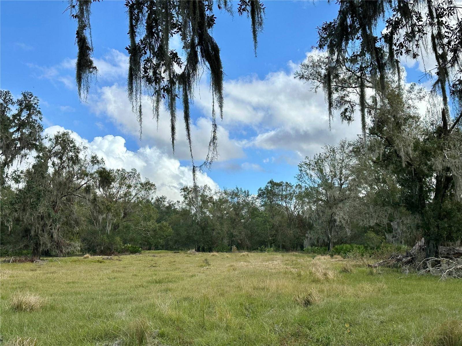 Address not disclosed, Wauchula, FL 33873