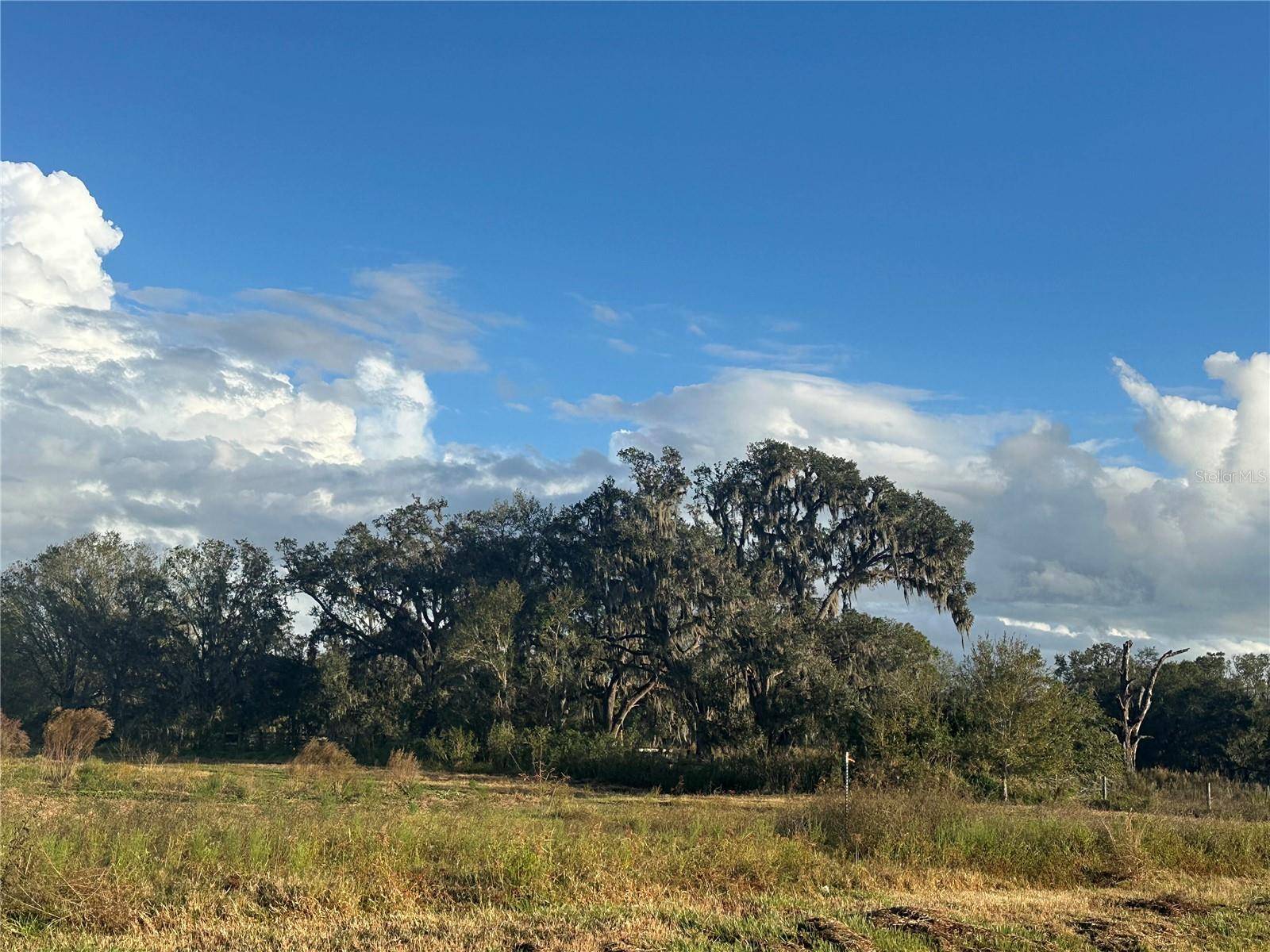 0 POLK RD, Wauchula, FL 33873