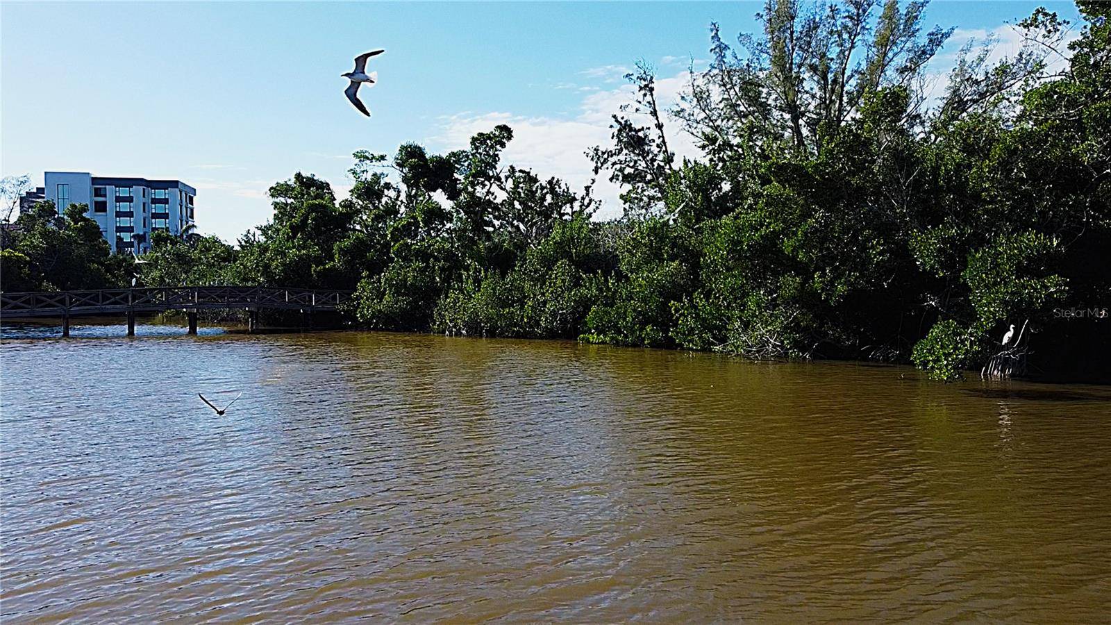 8534 HERON LAGOON CIR, Sarasota, FL 34242
