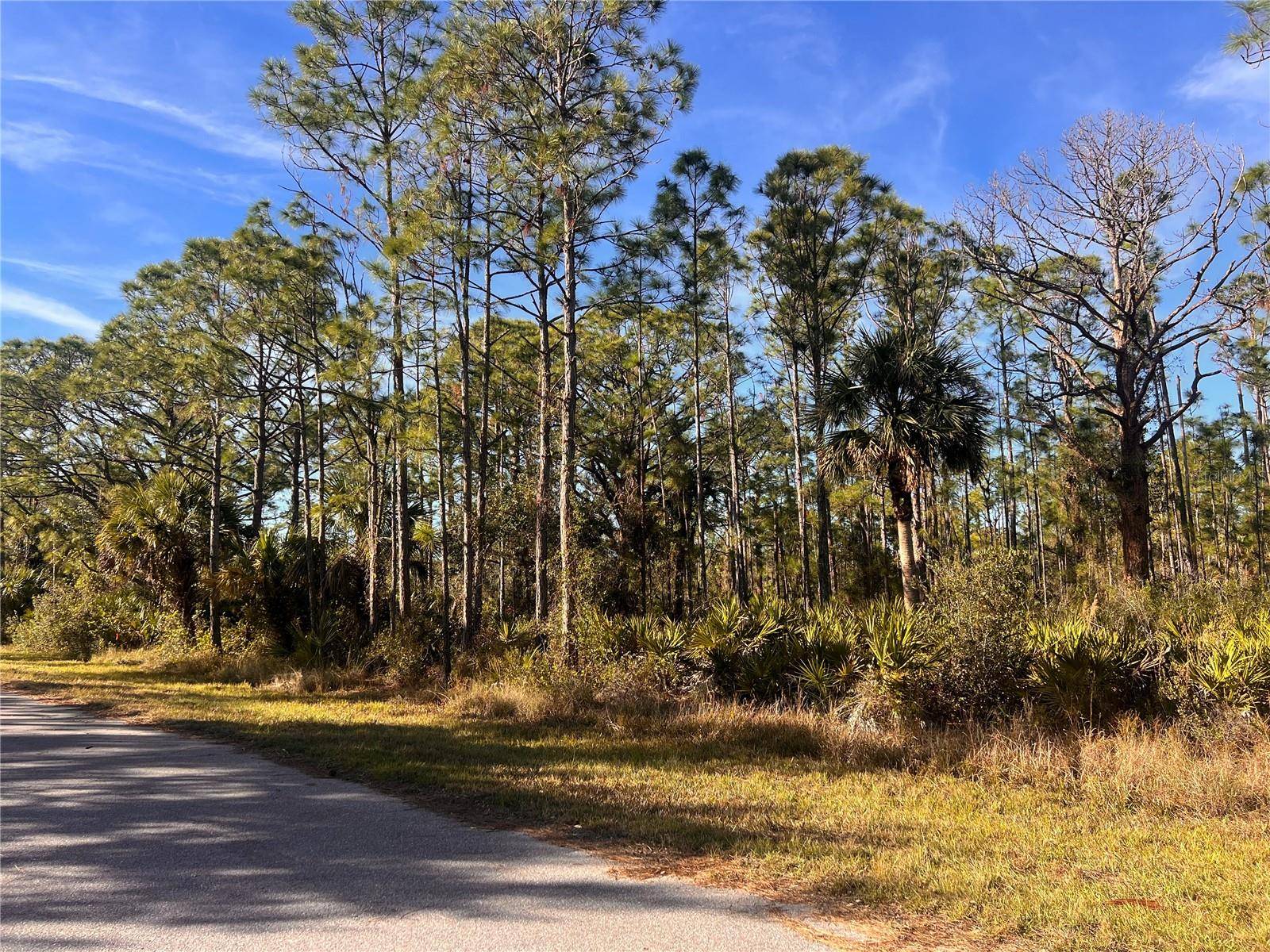 13084 HARBISON AVE, Port Charlotte, FL 33953