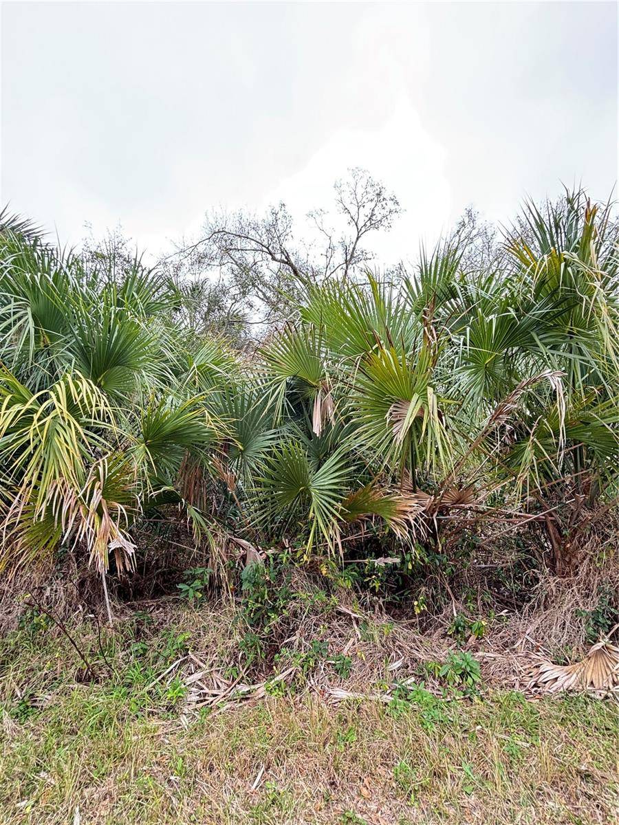 Address not disclosed, North Port, FL 34286