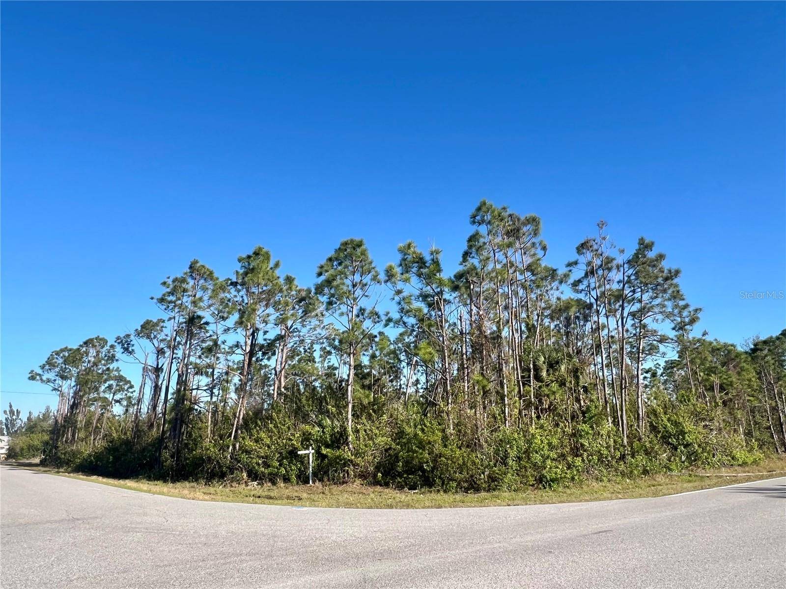 15249 RED HEAD AVE, Port Charlotte, FL 33981