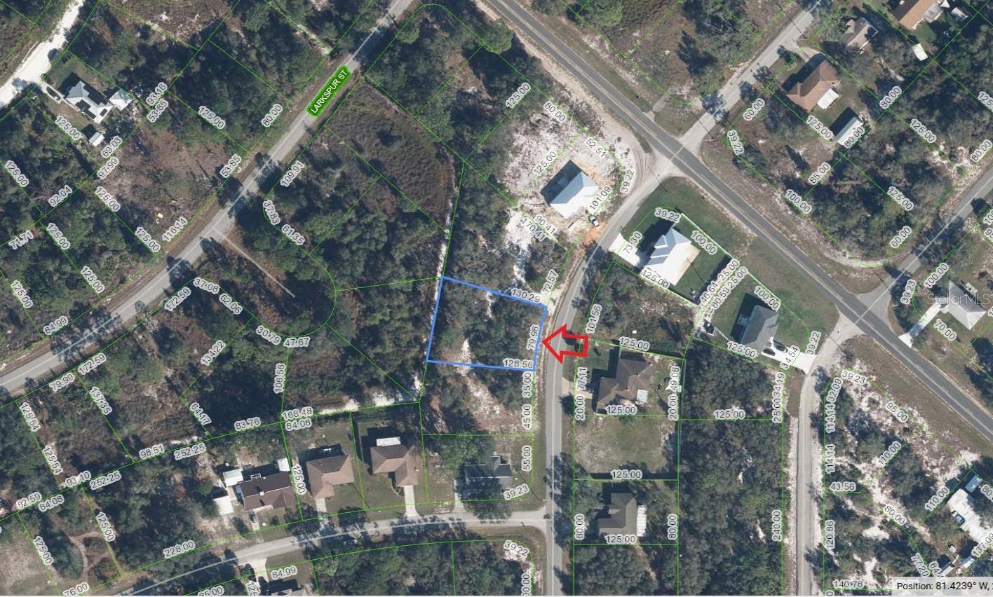 915 TEA ROSE ST, Lake Placid, FL 33852