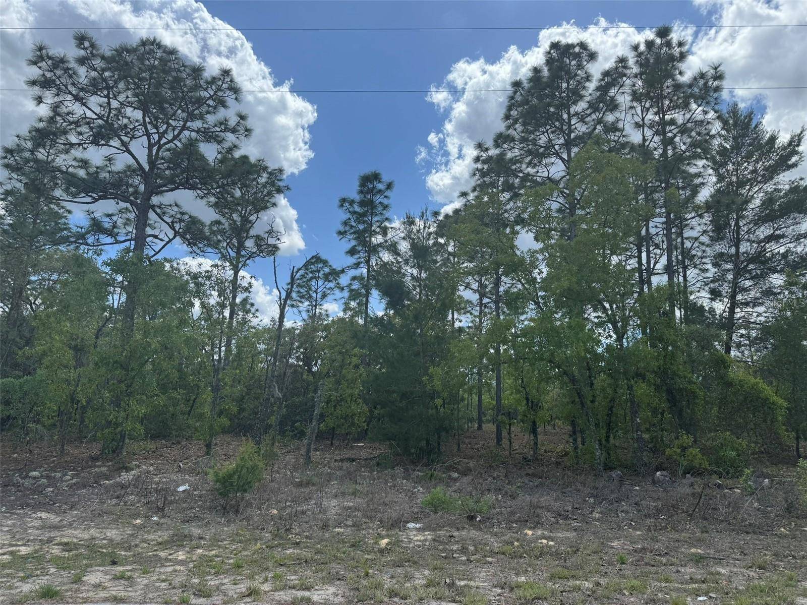 3000 W LIZA PL, Dunnellon, FL 34433