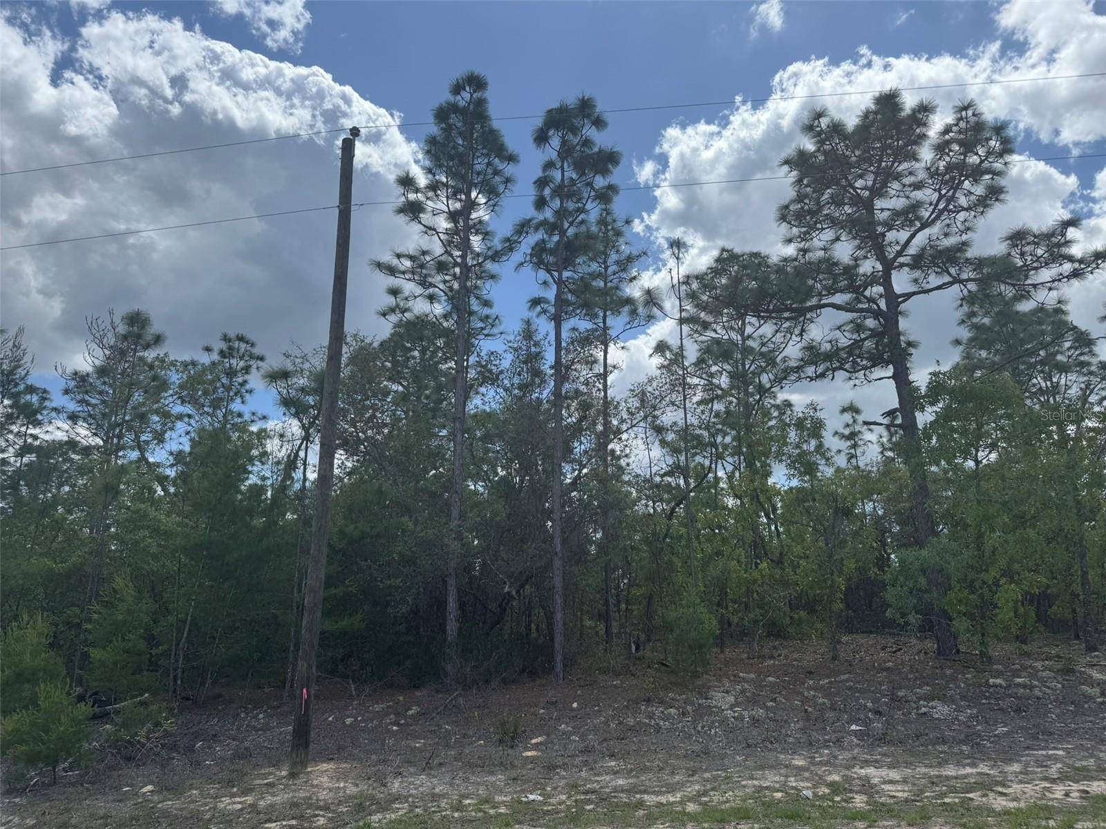 3000 W LIZA PL, Dunnellon, FL 34433