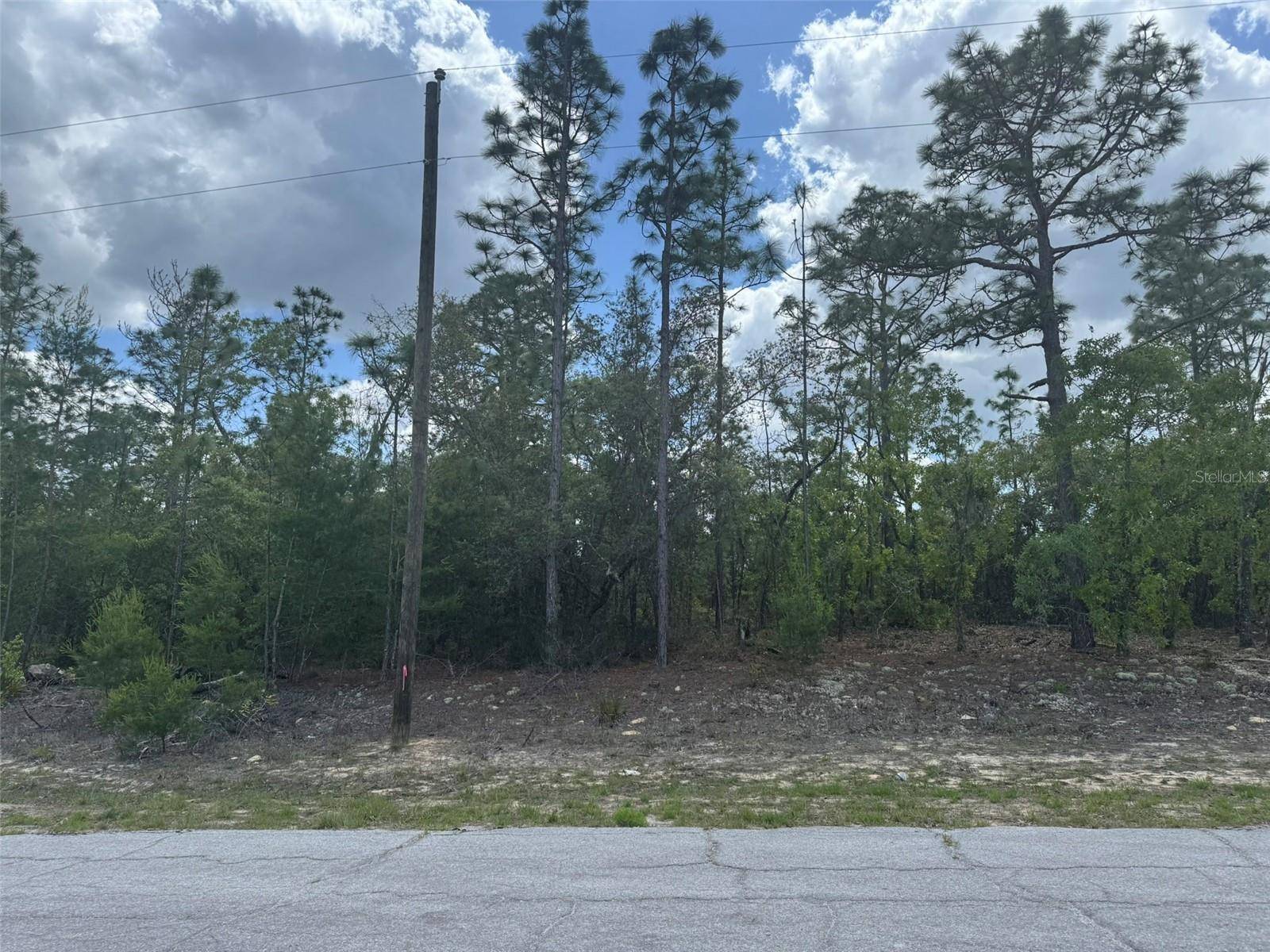 3000 W LIZA PL, Dunnellon, FL 34433