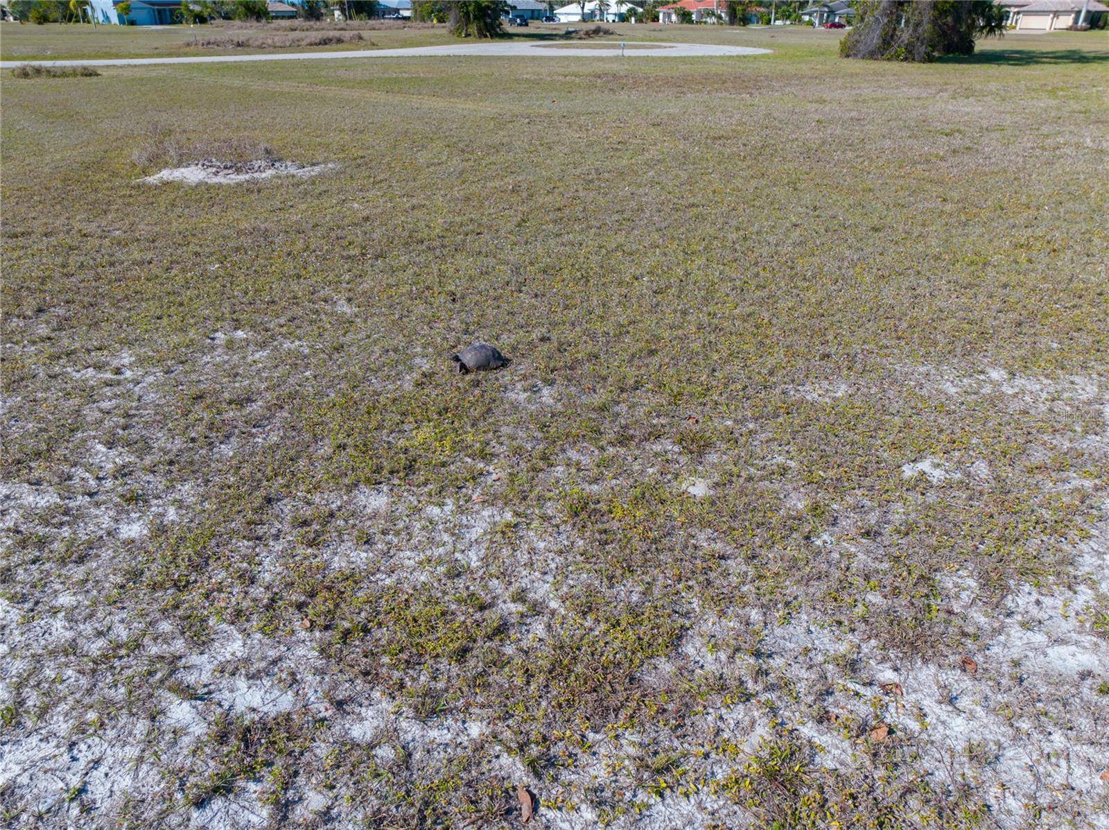 17154 SUGAR CT, Punta Gorda, FL 33955