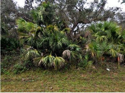BABROFF TER, North Port, FL 34291