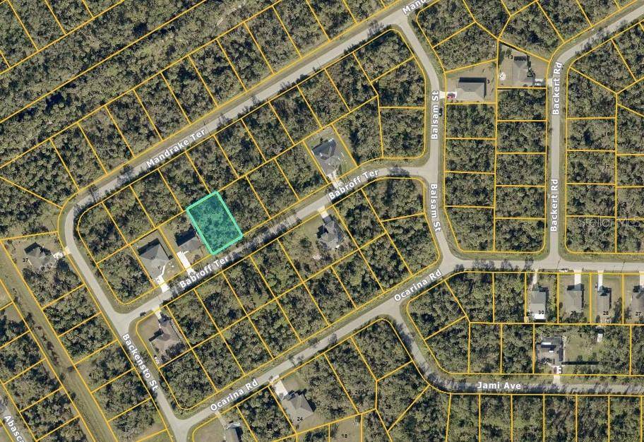 BABROFF TER, North Port, FL 34291