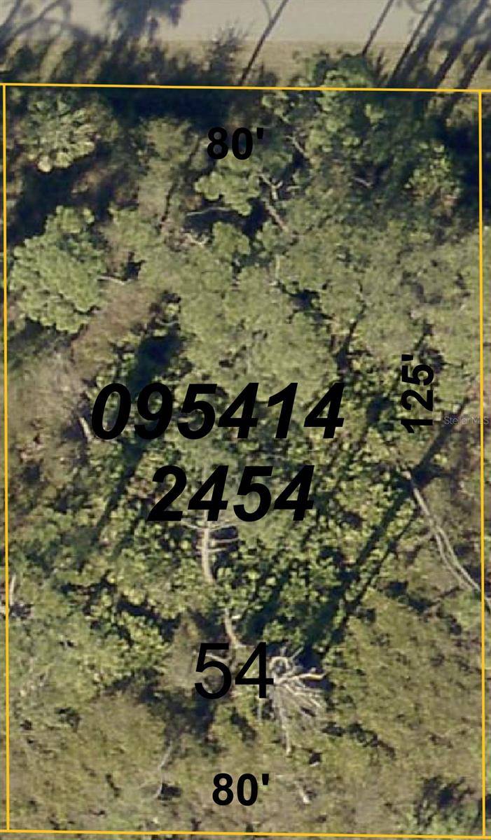 LADY SLIPPER AVE., North Port, FL 34291