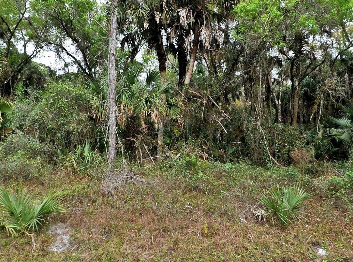 HURDLE RD., North Port, FL 34291