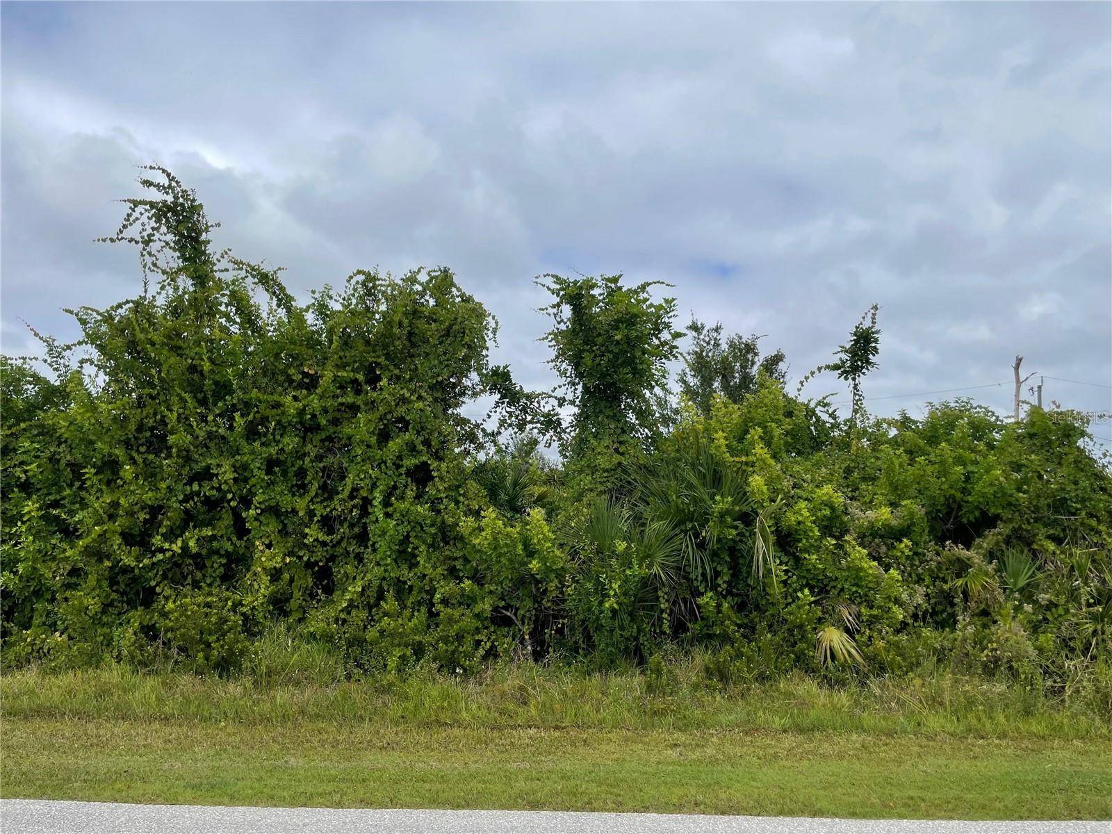 11216 CARNEGIE AVE, Englewood, FL 34224