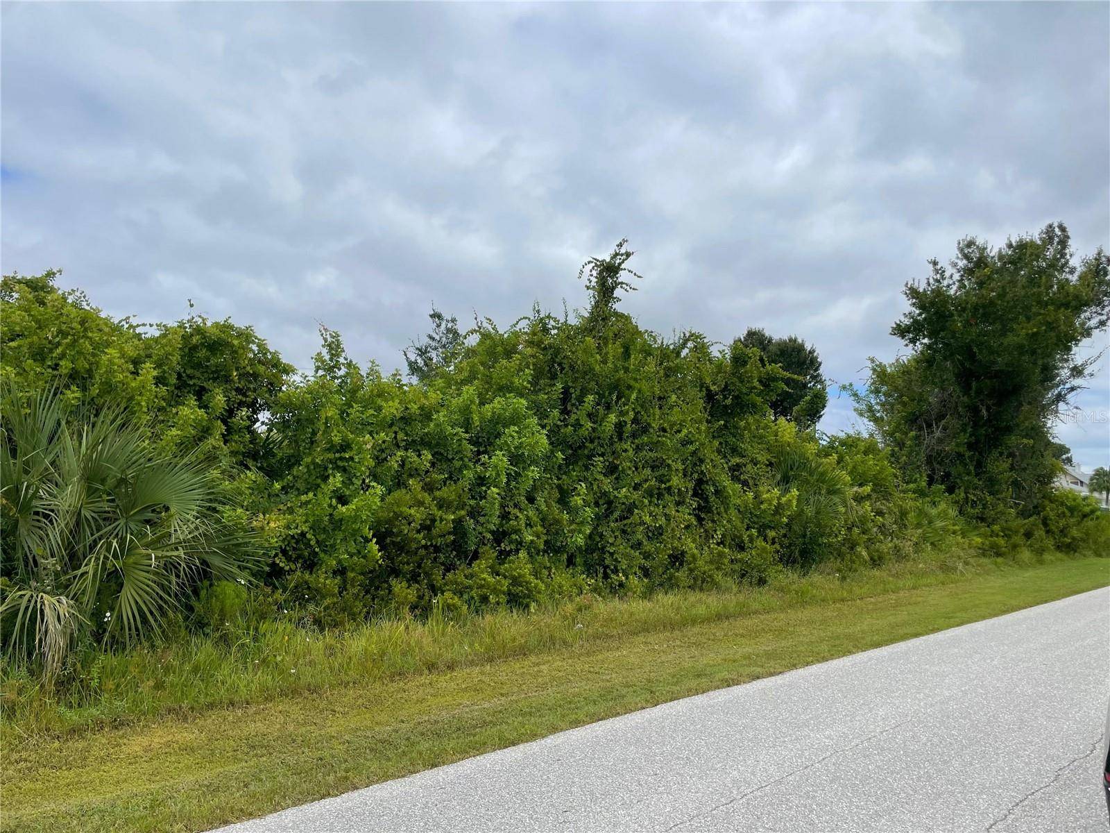 11216 CARNEGIE AVE, Englewood, FL 34224