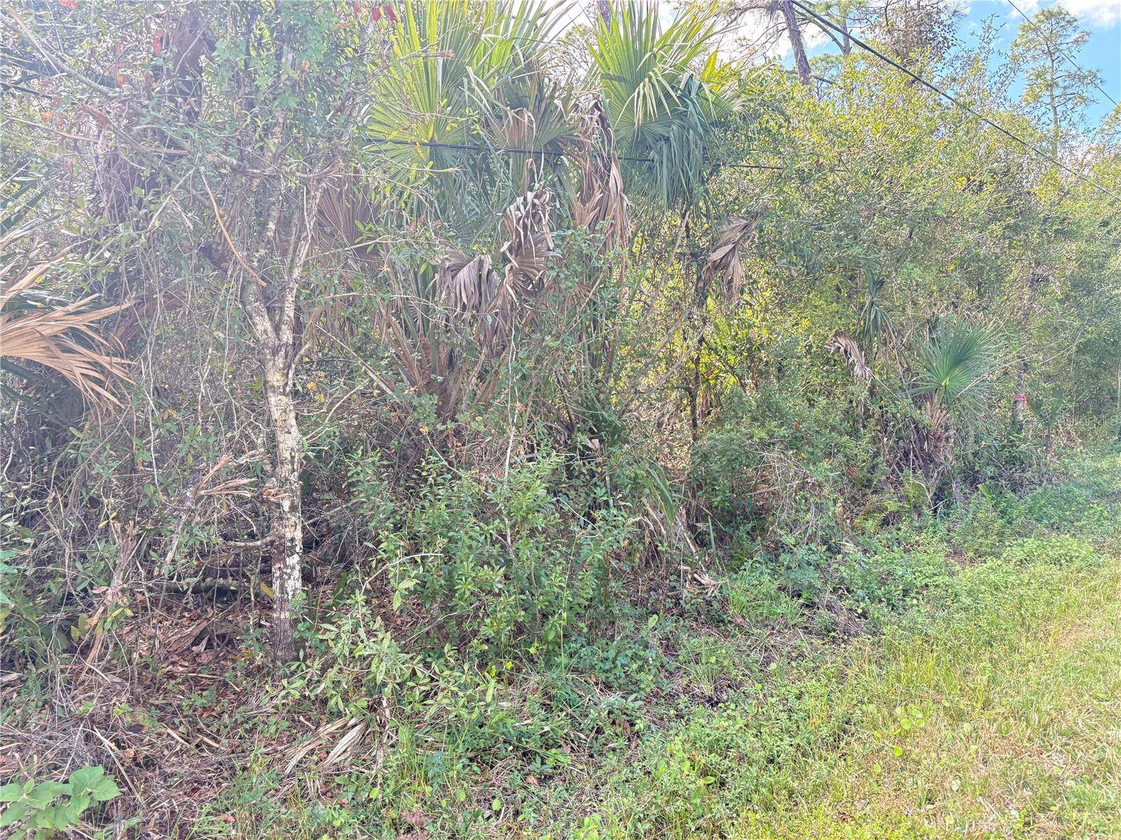 COBBLER LN, North Port, FL 34286