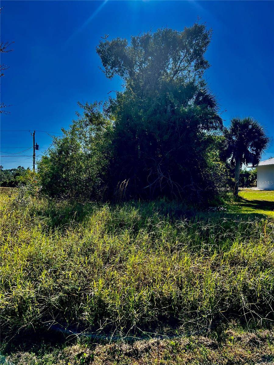 10245 WINSTEAD AVE, Englewood, FL 34224