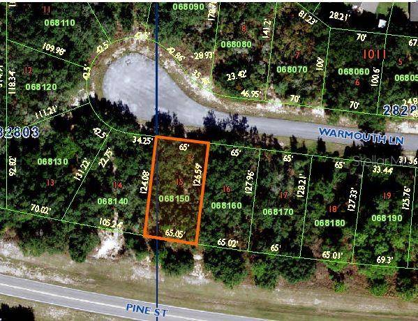 118 WARMOUTH LN, Poinciana, FL 34759