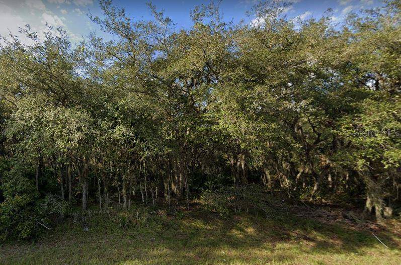 609 MARLIN WAY, Poinciana, FL 34759