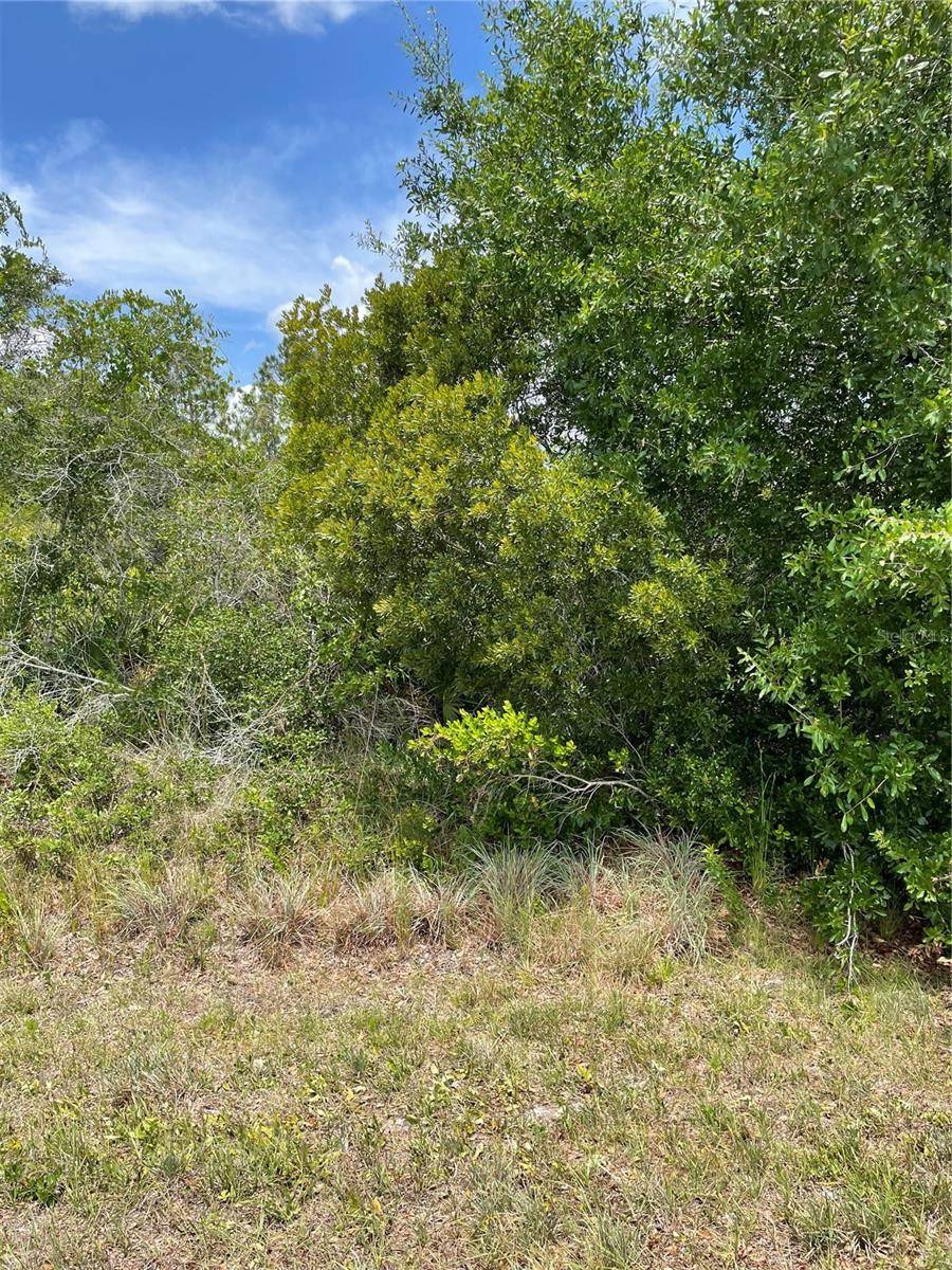 33514, 33522,33528 WASHINGTON LOOP RD, Punta Gorda, FL 33982