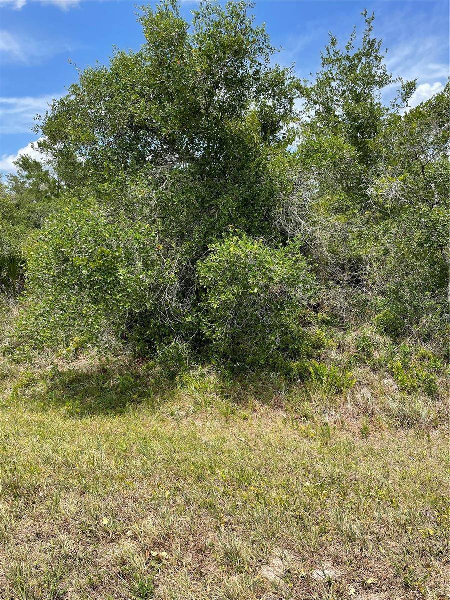 33514, 33522,33528 WASHINGTON LOOP RD, Punta Gorda, FL 33982