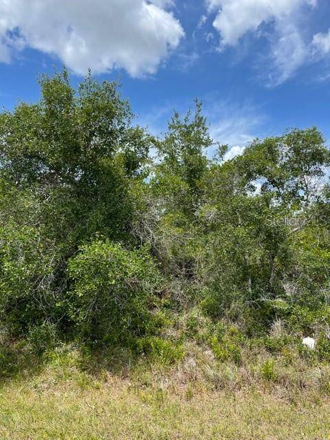 33514, 33522,33528 WASHINGTON LOOP RD, Punta Gorda, FL 33982