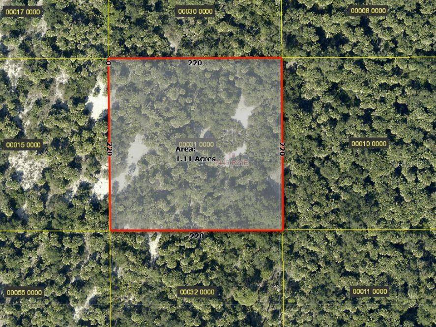 ACCESS UNDETERMINED, Bokeelia, FL 33922
