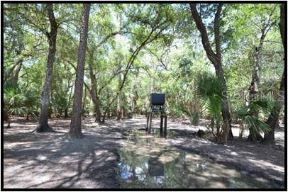 7019 CROOKED CREEK LN, Zolfo Springs, FL 33890