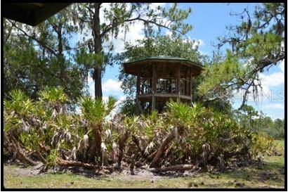 7019 CROOKED CREEK LN, Zolfo Springs, FL 33890