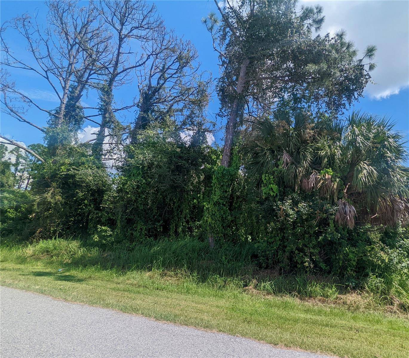 13441 DRYSDALE AVE, Port Charlotte, FL 33981