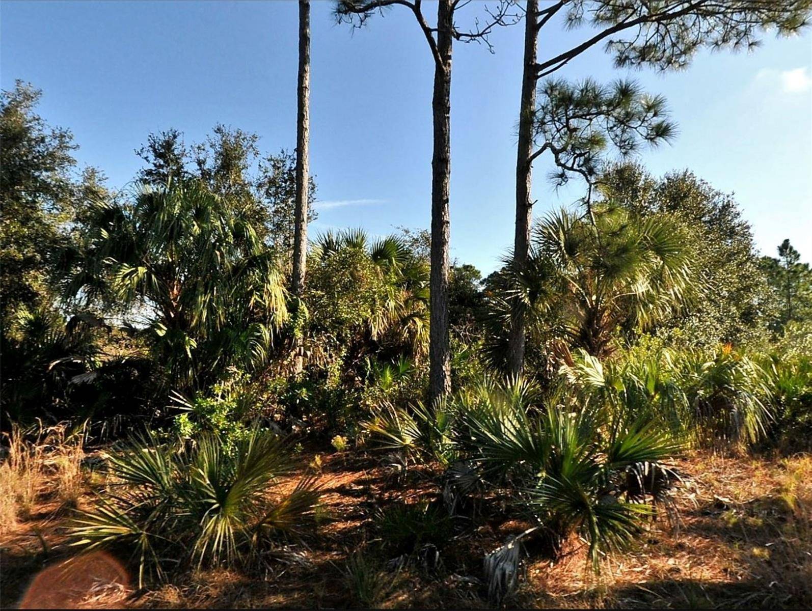 Lot 3 HAMBURG DR, North Port, FL 34288