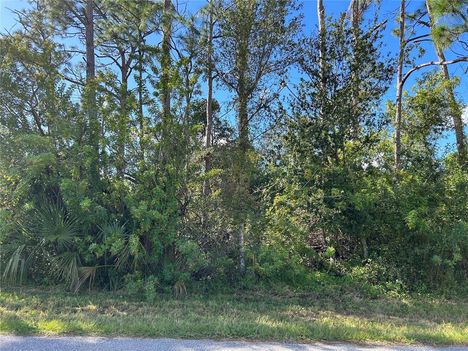 168 CAPATOLA ST, Port Charlotte, FL 33948