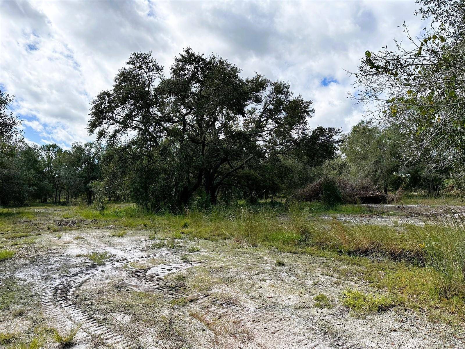 SE TOMLIN #2 DR, Arcadia, FL 34266