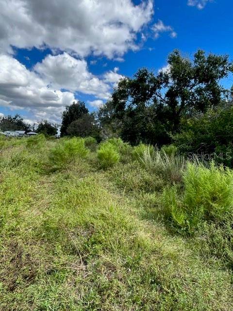 SE TOMLIN #2 DR, Arcadia, FL 34266