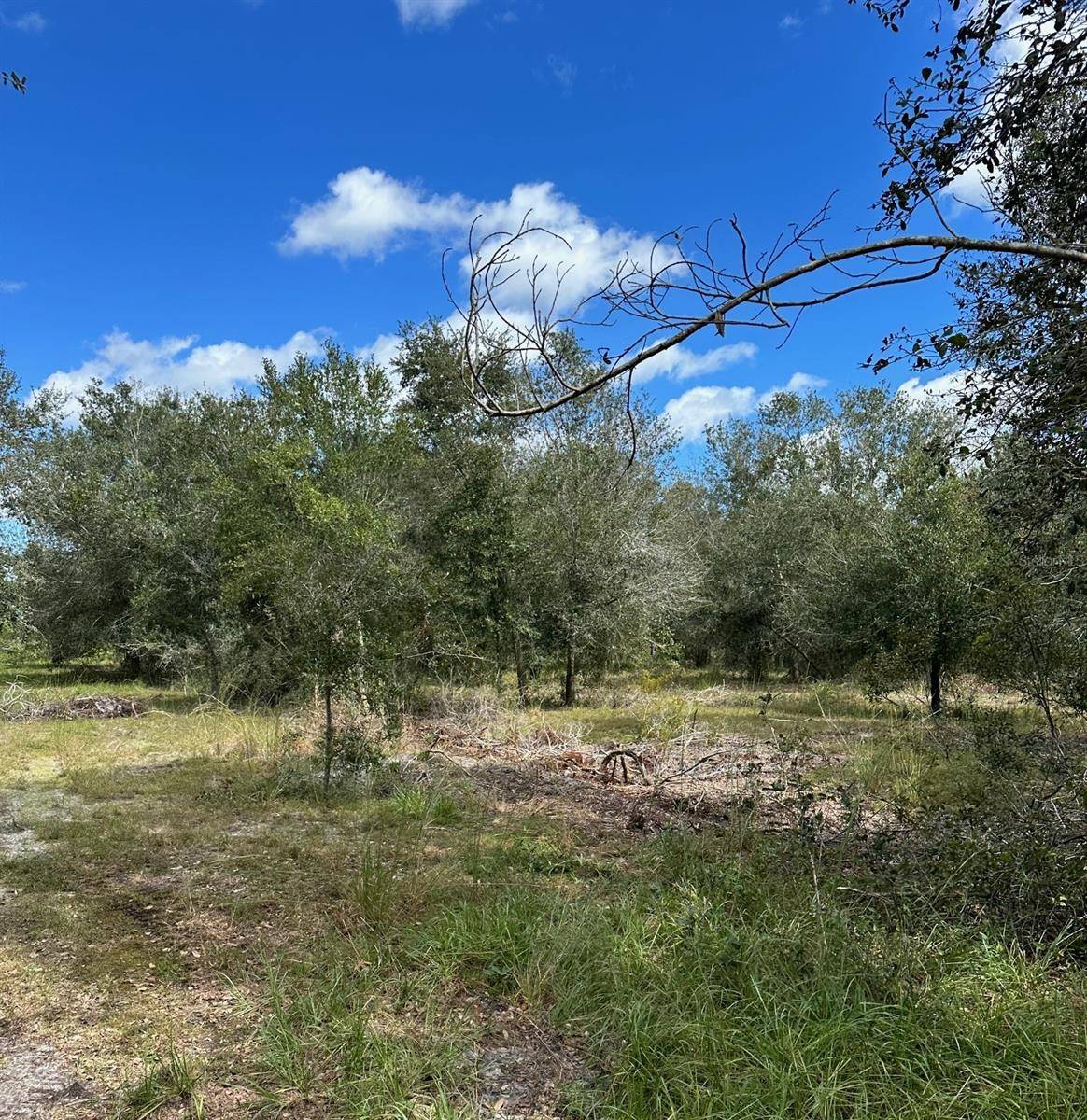 SE TOMLIN #2 DR, Arcadia, FL 34266