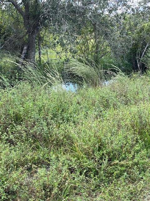SE TOMLIN #3 DR, Arcadia, FL 34266