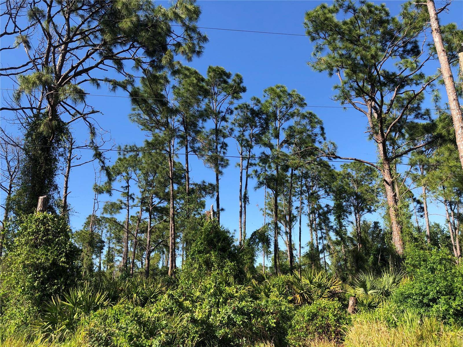 DANDURAND AVE, North Port, FL 34291