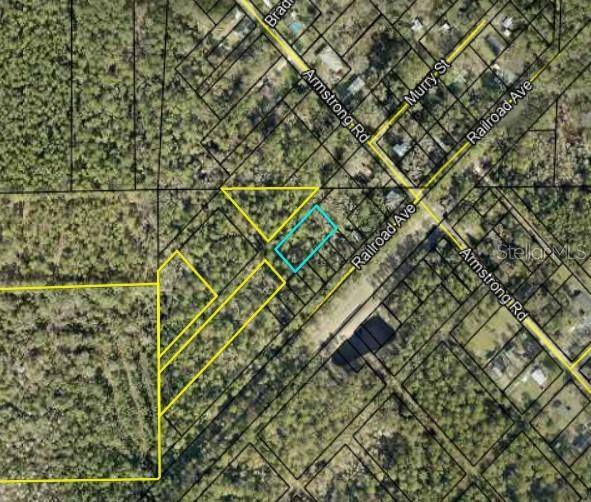 LOTS 1, 2, 3 AND 4 DAVIS AVE, Elkton, FL 32033