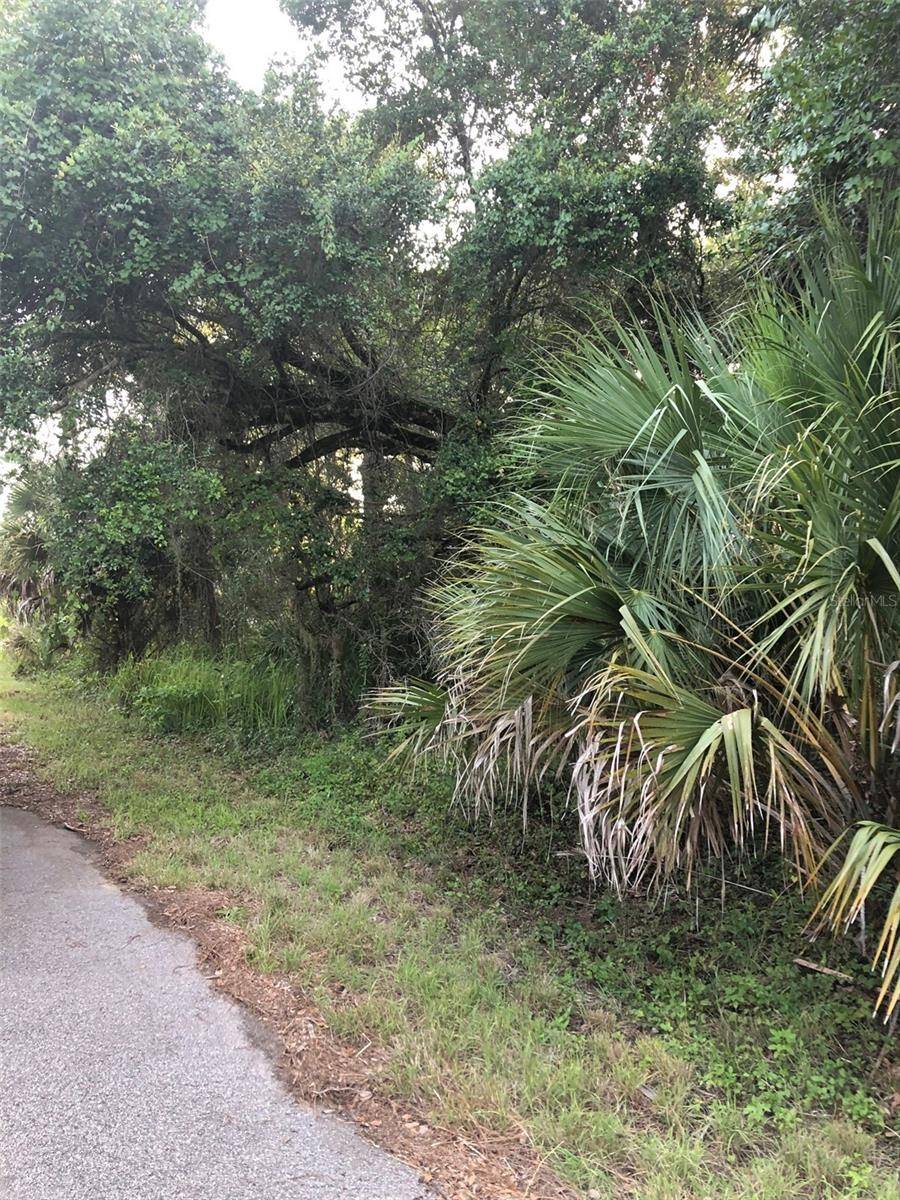 CARMELIA ST, North Port, FL 34288