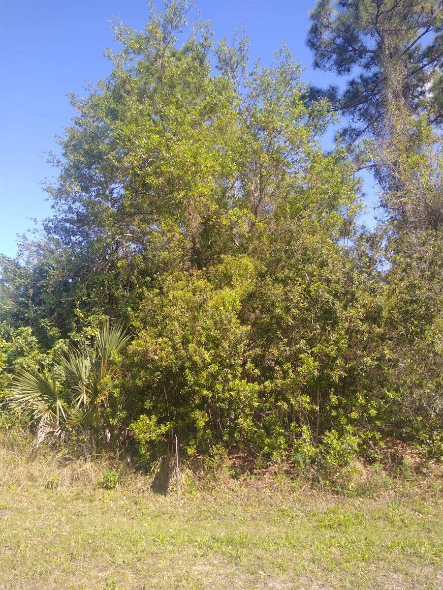 306 MCDILL DR, Port Charlotte, FL 33953
