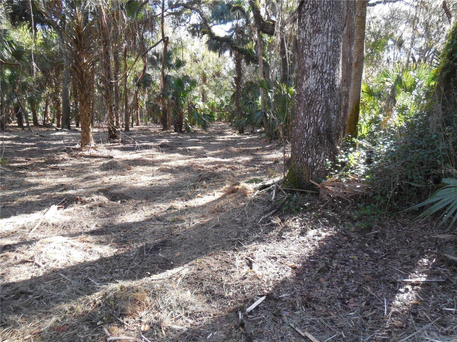 152 TALL OAK TRL, Zolfo Springs, FL 33890