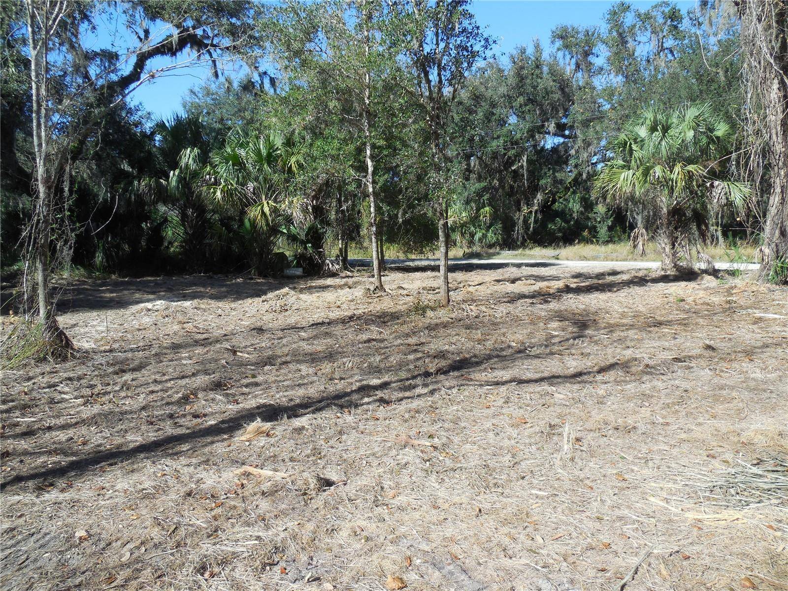 152 TALL OAK TRL, Zolfo Springs, FL 33890