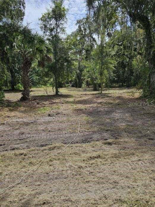 152 TALL OAK TRL, Zolfo Springs, FL 33890