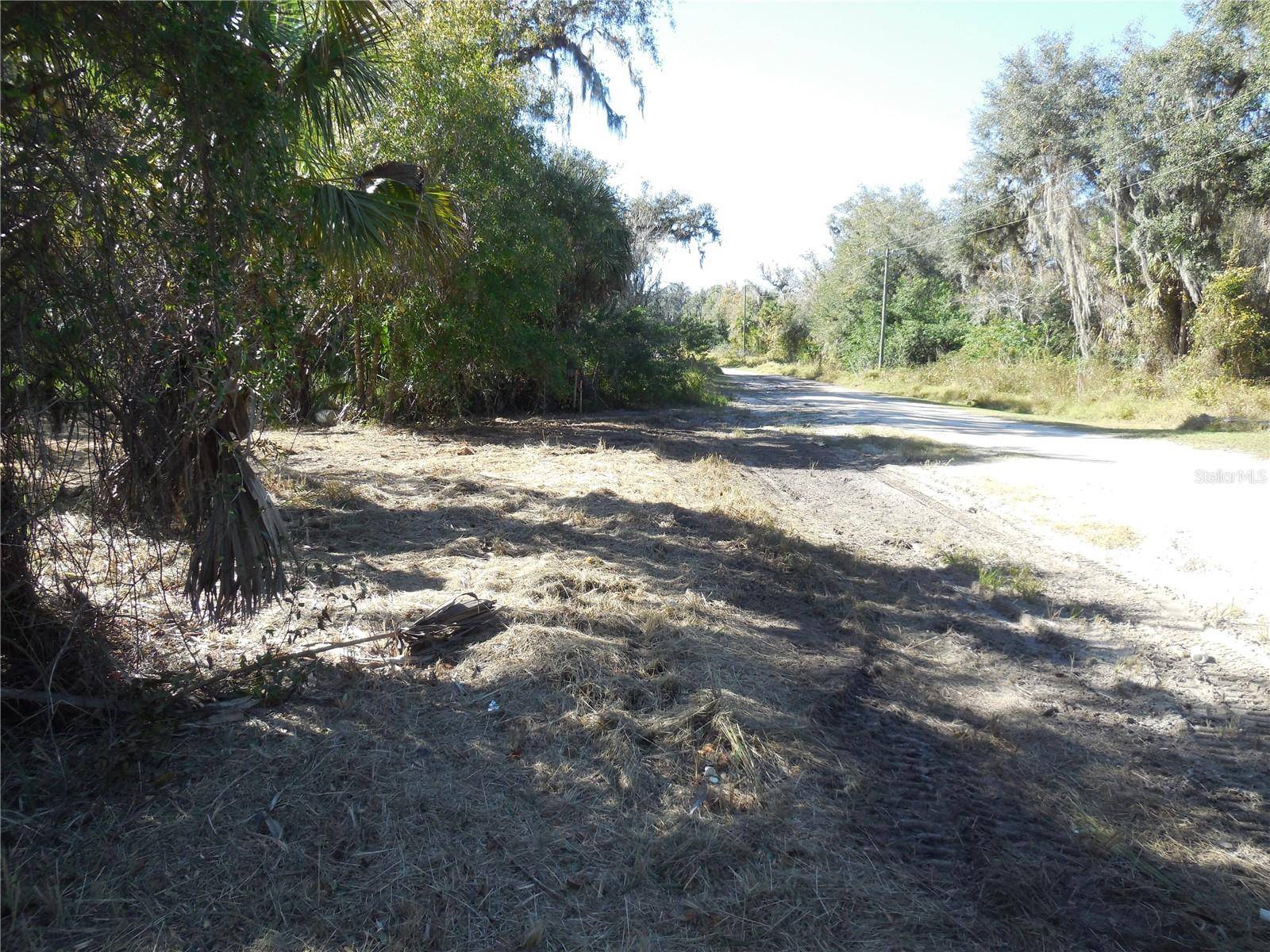 152 TALL OAK TRL, Zolfo Springs, FL 33890