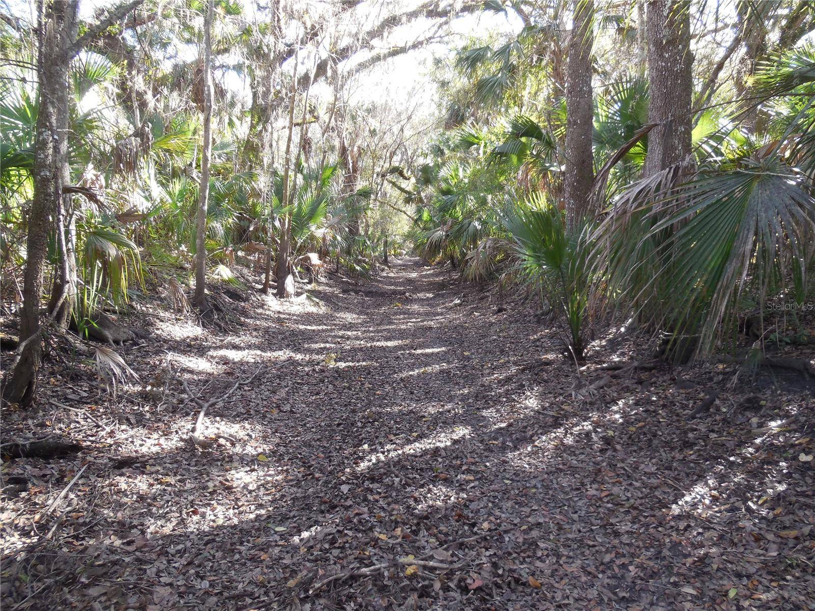 152 TALL OAK TRL, Zolfo Springs, FL 33890