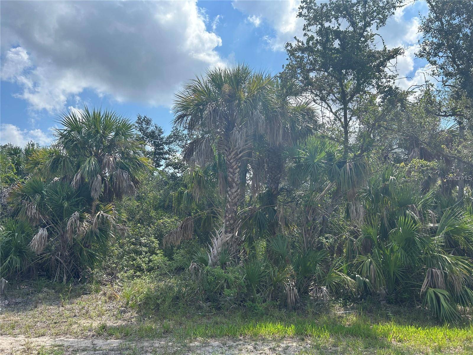 3288 MONARCH ST, Port Charlotte, FL 33948