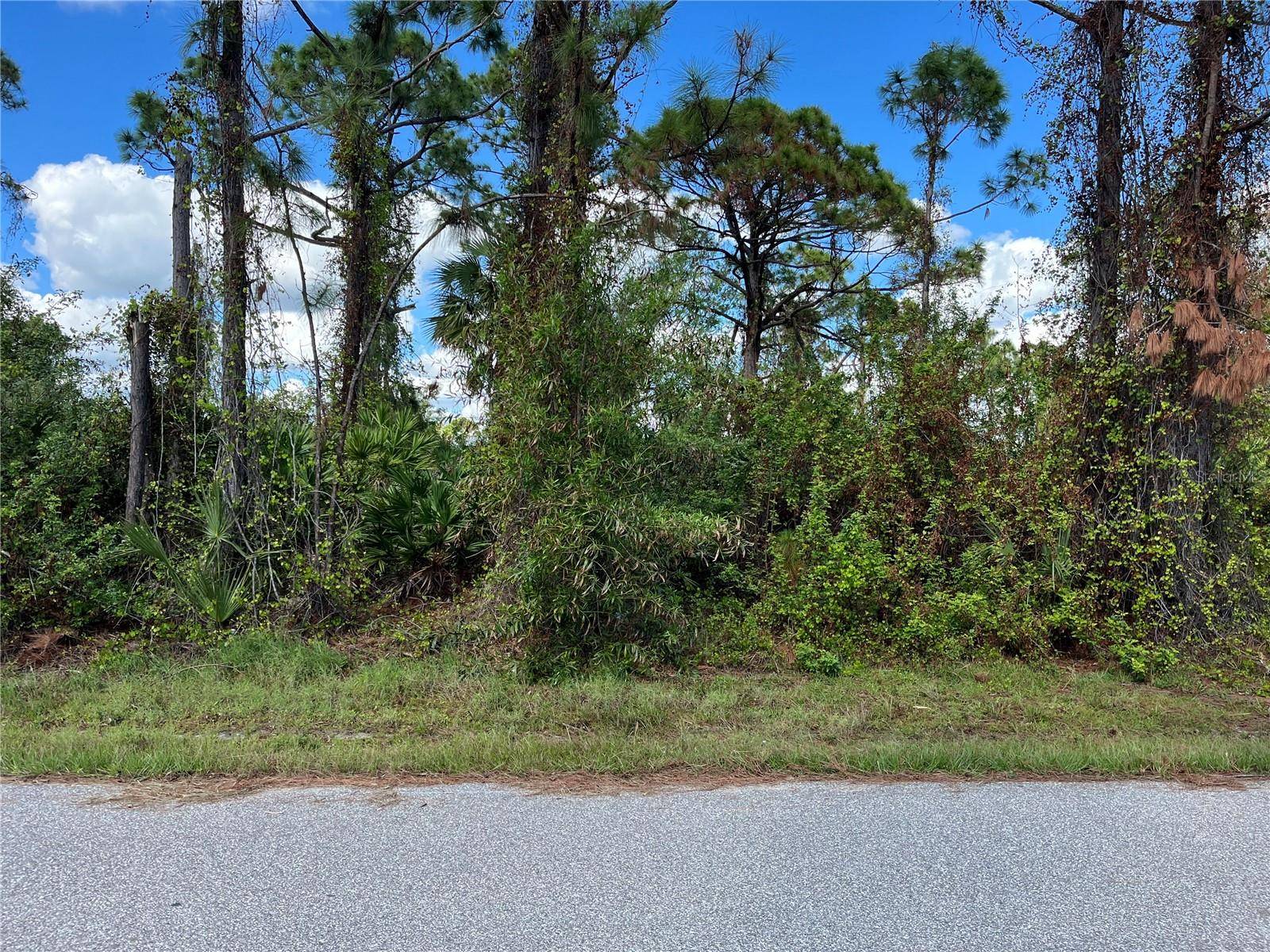 12438 DEEPWOODS AVE, Port Charlotte, FL 33981