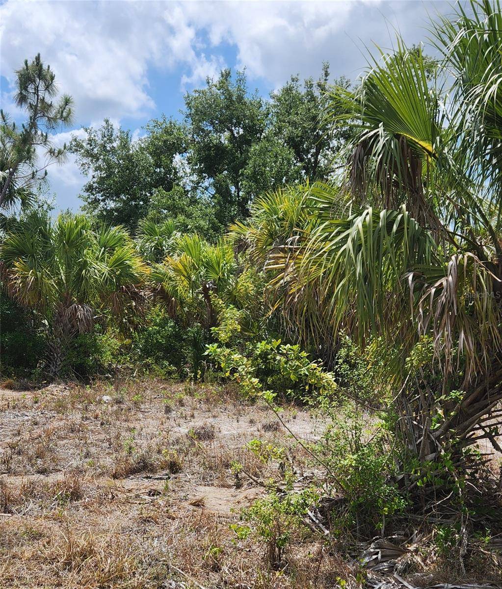 BENNINGTON ST, North Port, FL 34288