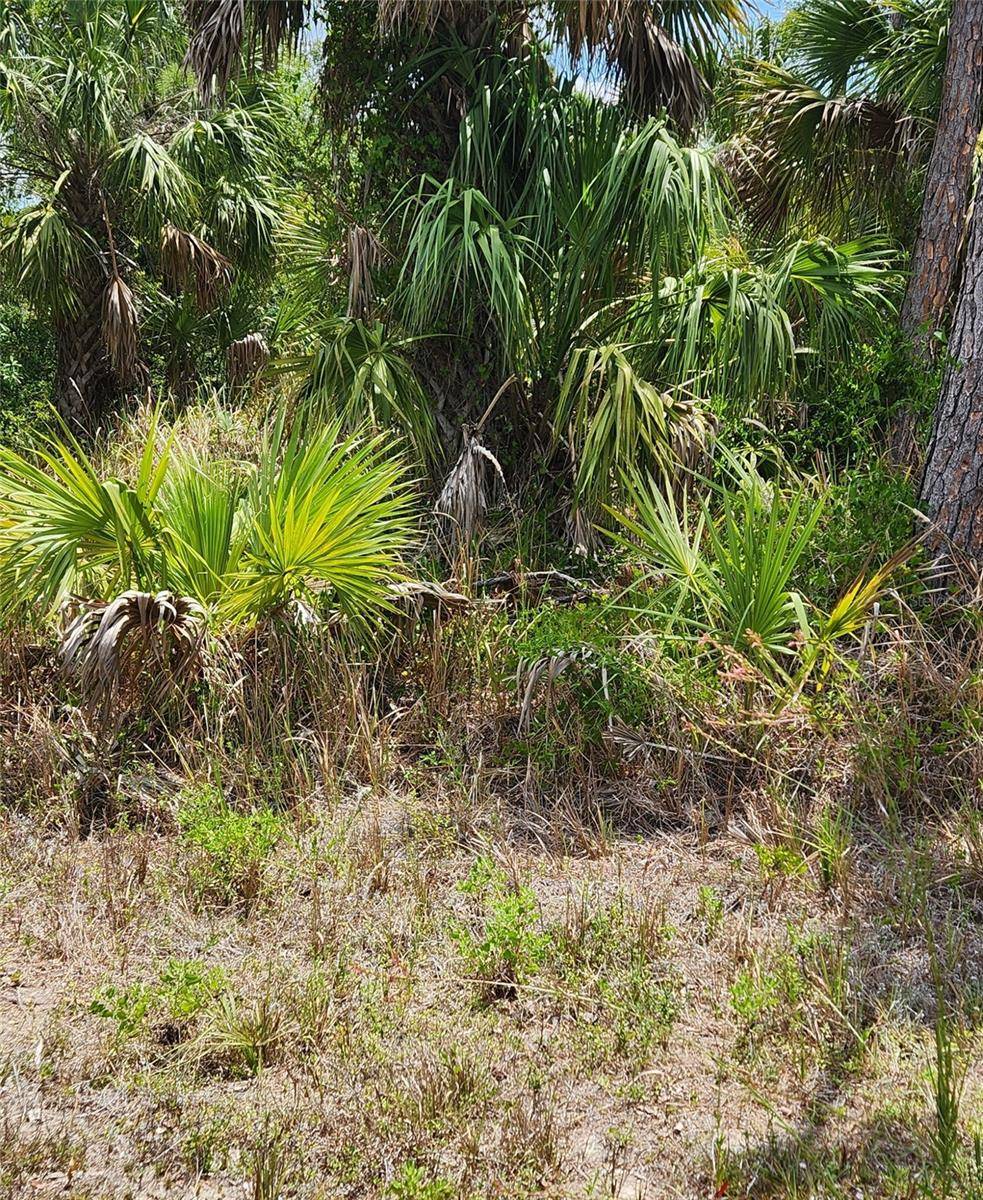 INVERNESS ST, North Port, FL 34288