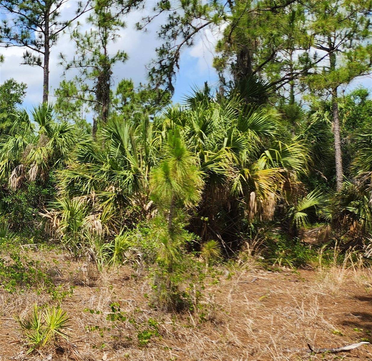 BASKET ST, North Port, FL 34288