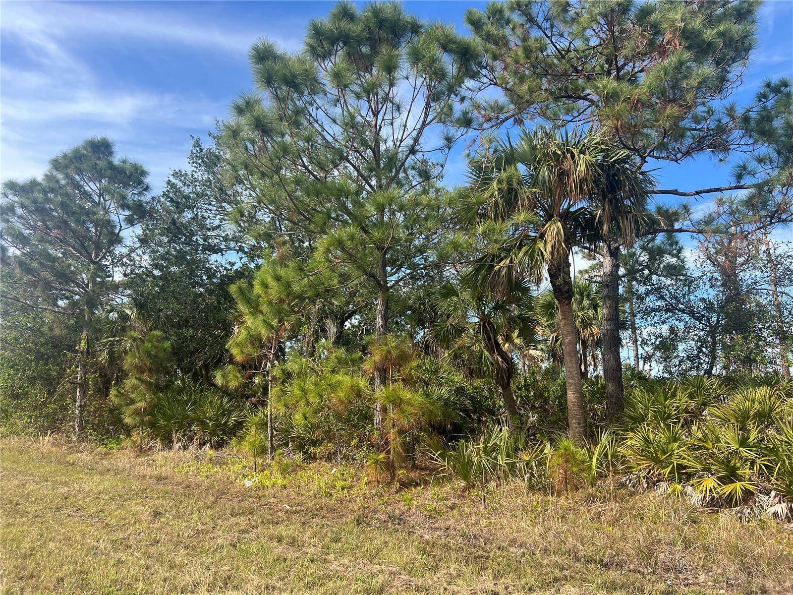 12222 GULFSTREAM BLVD, Port Charlotte, FL 33981