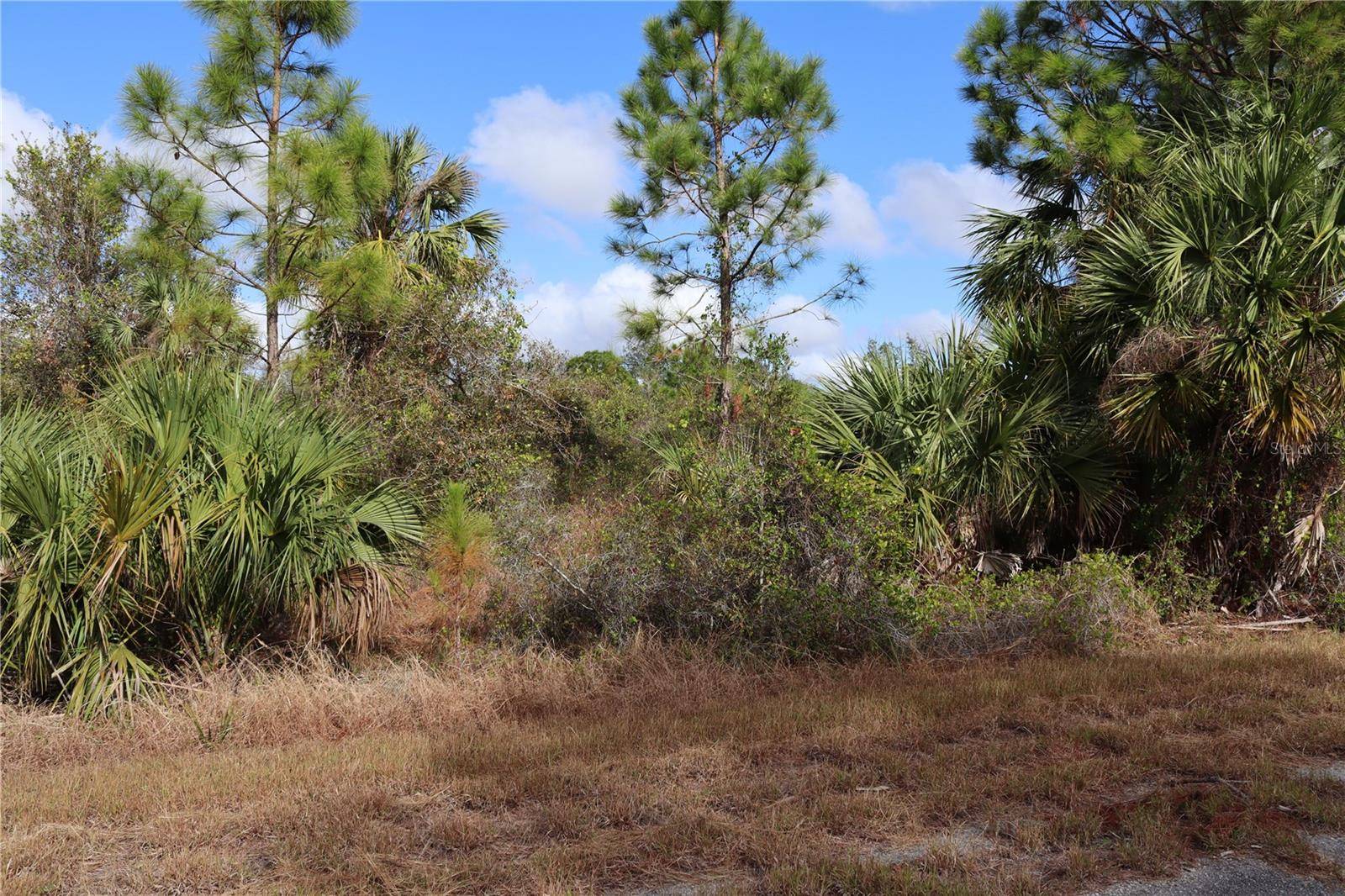 PATRIOT CIR, North Port, FL 34288
